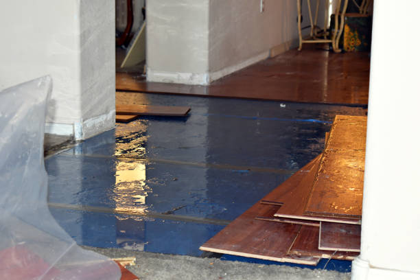 Professional Burst Pipe Cleanup technician working in Holliston, MA